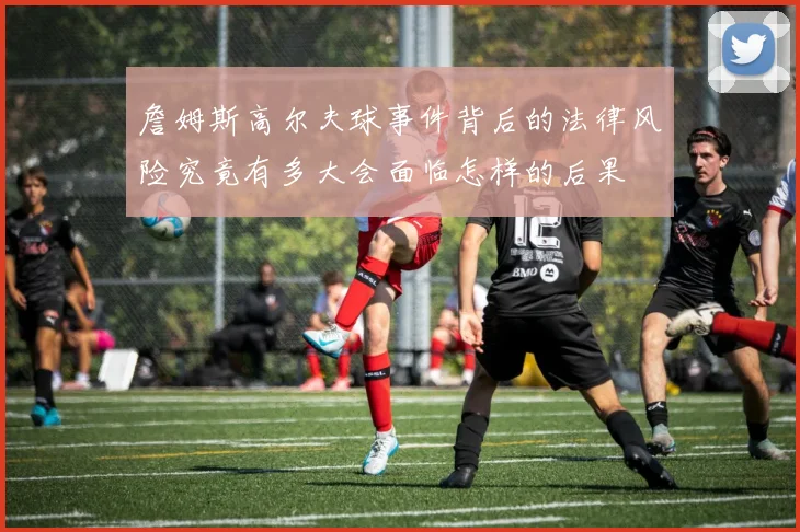 詹姆斯高尔夫球事件背后的法律风险究竟有多大会面临怎样的后果